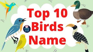 Learn birds Name Birds Name Birds name English to Urdu Basic English learning [upl. by Erreipnaej132]