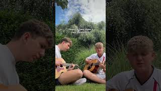 Brazil  Declan McKenna Acoustic Cover guitar cover acoustic music [upl. by Radley]