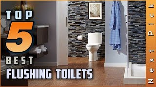 Top 5 Best Flushing Toilets Review in 2024 [upl. by Orazal978]