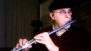 quotTristequot AC Jobim  flute solo [upl. by Rimat]