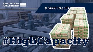 Palletizer 5000B  High Capacity Palletizer [upl. by Yttel]