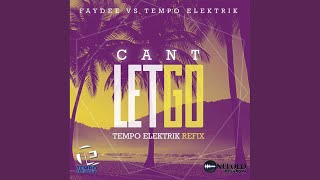 Cant Let Go Faydee Vs Tempo Elektrik Radio Edit [upl. by Assirrec456]