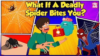 How Does Spider Bite  Worlds Deadliest Spiders  Most Venomous Spider  The Dr Binocs Show [upl. by Ahsinna]