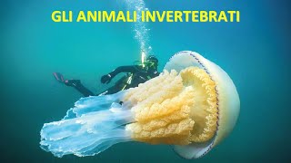 GLI ANIMALI INVERTEBRATI [upl. by Tifanie]