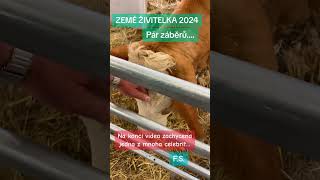 ZEMĚ ŽIVITELKA 2024 [upl. by Cohl]