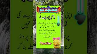 Urdu quotes ghari baten  Azaad khayal  Noor e nayab shotsnoorenayab explore urduquotes urdu [upl. by Ecnarrat]