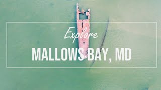 Marylands Hidden Gem Mallows Bay Ghost Shipwreck on Potomac Sleep Calm Relaxing4k Drone Video [upl. by Sekyere]