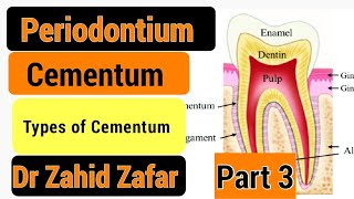 Part 3 Cementum cementum types cementum types [upl. by Oir570]