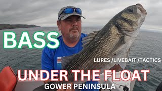 BASS UNDER THE FLOAT UK BOAT FISHING CATCH AND RELEASE ABOARD TOADFISH [upl. by Anaugal]