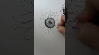 Sonnenblumen 🌻 einfaches Tutorial •sonnenblumen blumenzeichnen zeichnen kunst skizze blumen [upl. by Minnnie773]