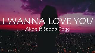 I wanna love you  Akon ft Snoop Dogg Lyrics I see you winding and grinding up on the floor [upl. by Sisto714]