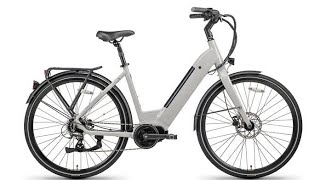 Ostrichoo Shakes Up EBike World with UltraFast Charging [upl. by Boru]