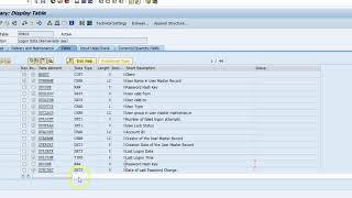 SAP Cyber Security Risk with Table USR02 [upl. by Inobe]