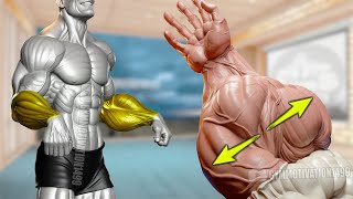 6 Effective Exercises to Get Big Veiny Forearms [upl. by Gutow222]