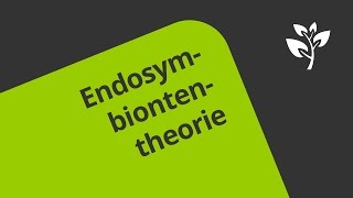 Die Endosymbiontentheorie Wie Chloroplasten und Mitochondrien entstanden sind  Biologie [upl. by Georgiana]