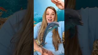 Ocean Animals 🐬 Opposites Song kidssongs kidslearning [upl. by Ikkin]