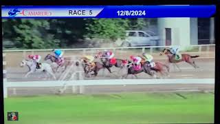 5ta carrera Hipódromo Camarero 🇵🇷 [upl. by Aynnek]