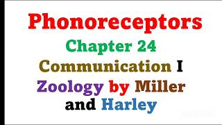 Phonoreceptors  Chapter 24  Zoology by miller and harley [upl. by Dnivra]