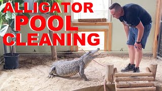 How I Clean The Alligator Pool [upl. by Ennaear]