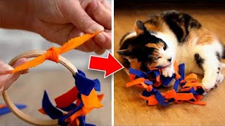 Easy To Make DIY Cat Toys Your Pet Will Love [upl. by Odey530]