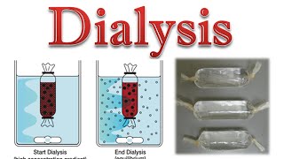 Protein purification  protein dialysis [upl. by Grane]