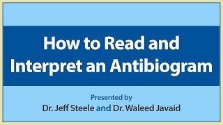 How to Read and Interpret an Antibiogram [upl. by Ardith]