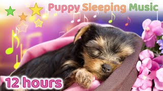 ☆ 12 HOURS ☆ Puppy Sleeping Music 🐶 ♫ Dog Sleep Music ♫ Soothing Music for Dogs ☆ [upl. by Acebber]