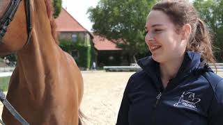 Beruf Pferdewirt  Klassische Reitausbildung [upl. by Mallina]