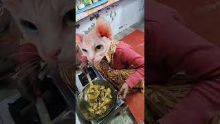 🤪🤪🤪Dhinka chika 🤪🤪🤪🤪😹😹😹🤪🤪🤪🤪😍😍😍🤪🤪🤪 funny cute viral [upl. by Assylem]