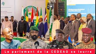 Général Issa Diawara  CEDEAOAES  cest de la sorcellerie finalement [upl. by Eirolav]