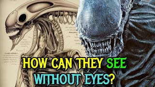 Xenomorph Detailed Anatomy Explored  How Can They See Without The Eyes SelfDestruct Mechanism [upl. by Airotahs]