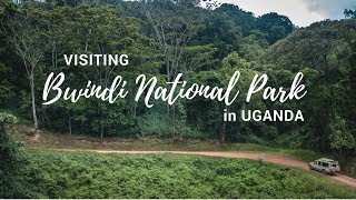 Exploring Bwindi Impenetrable National Park  Gorilla Safari Lodge  Uganda [upl. by Gladine544]