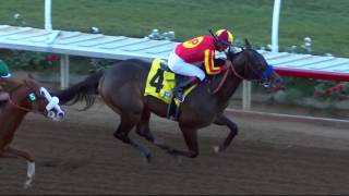 Baffert Sends Toews On Ice to Smarty Jones [upl. by Ilil848]