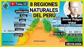 ✅ Las 8 regiones naturales del Perú según Javier Pulgar Vidal  ecología 🍃 [upl. by Marian857]