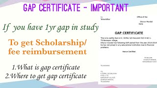 Gap certificate What is gap certificate Where to get gap certificate [upl. by Niletac]