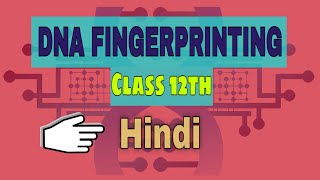 DNA Fingerprinting  DNA Fingerprinting class 12  Be Educated [upl. by Cuda]