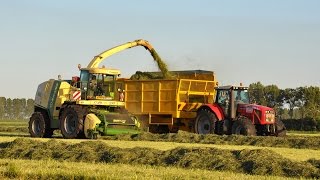 Krone BigX 850  Loonw De Bruyne  gras hakselen [upl. by Dressel470]