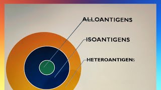 ANTIGEN PART 2 IMMUNOLOGY  TYPES OF ANTIGEN  HETEROPHILE ANTIGEN  ADJUVANT [upl. by Airdnat336]