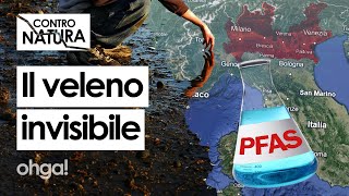 PFAS in Veneto e Lombardia uneredità TOSSICA nel SANGUE delle persone [upl. by Owens418]