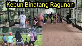 KEBUN BINATANG RAGUNAN 2023 [upl. by Colwin]