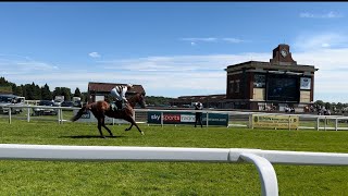 Horse racing at Ripon on ladies day [upl. by Isbel542]