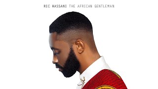 Ric Hassani  Marry You Audio [upl. by Assenov]