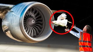 This Is How Airplane Engines Are Tested [upl. by Kamat634]