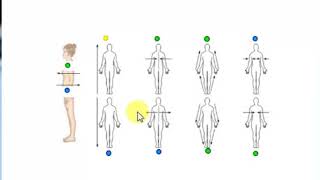 Directional terms quiz [upl. by Wun]