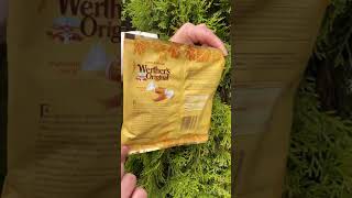 Цукерки PUMPKIN Werther’s 🇩🇪werthers candy леденцы lollipop lollipops конфеты цукерки [upl. by Garreth163]