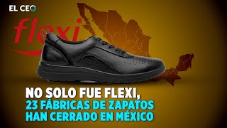 No solo fue Flexi 123 fábricas de zapatos han cerrado en México [upl. by Stoneham549]