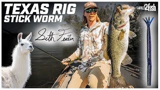 Texas Rig Stick Baits for Spring Bass with Seth Feider [upl. by Ruhnke]