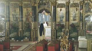 Episcopia GrecoCatolică de Oradea Live Stream [upl. by Yursa]