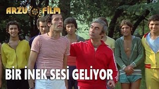 Bir İnek Sesi Geliyor  Hababam Sınıfı Uyanıyor [upl. by Nosreffej]