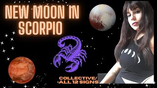 NEW MOON IN SCORPIO  NOVEMBER 1 2024  ALL 12 SIGNS [upl. by Fleda]